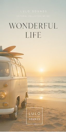 Wonderful Life front cover